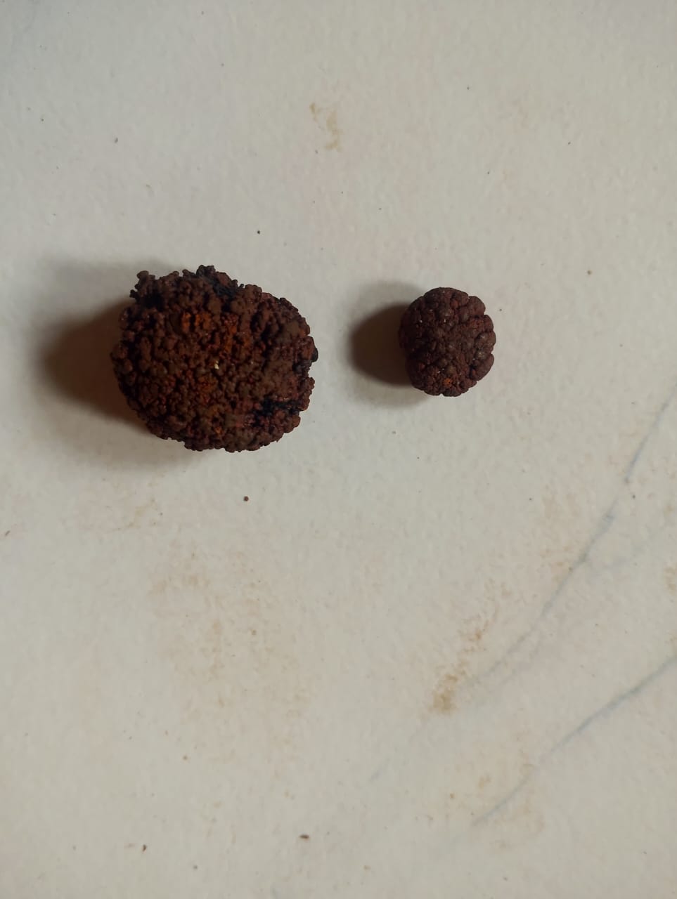 Cow Gallstone