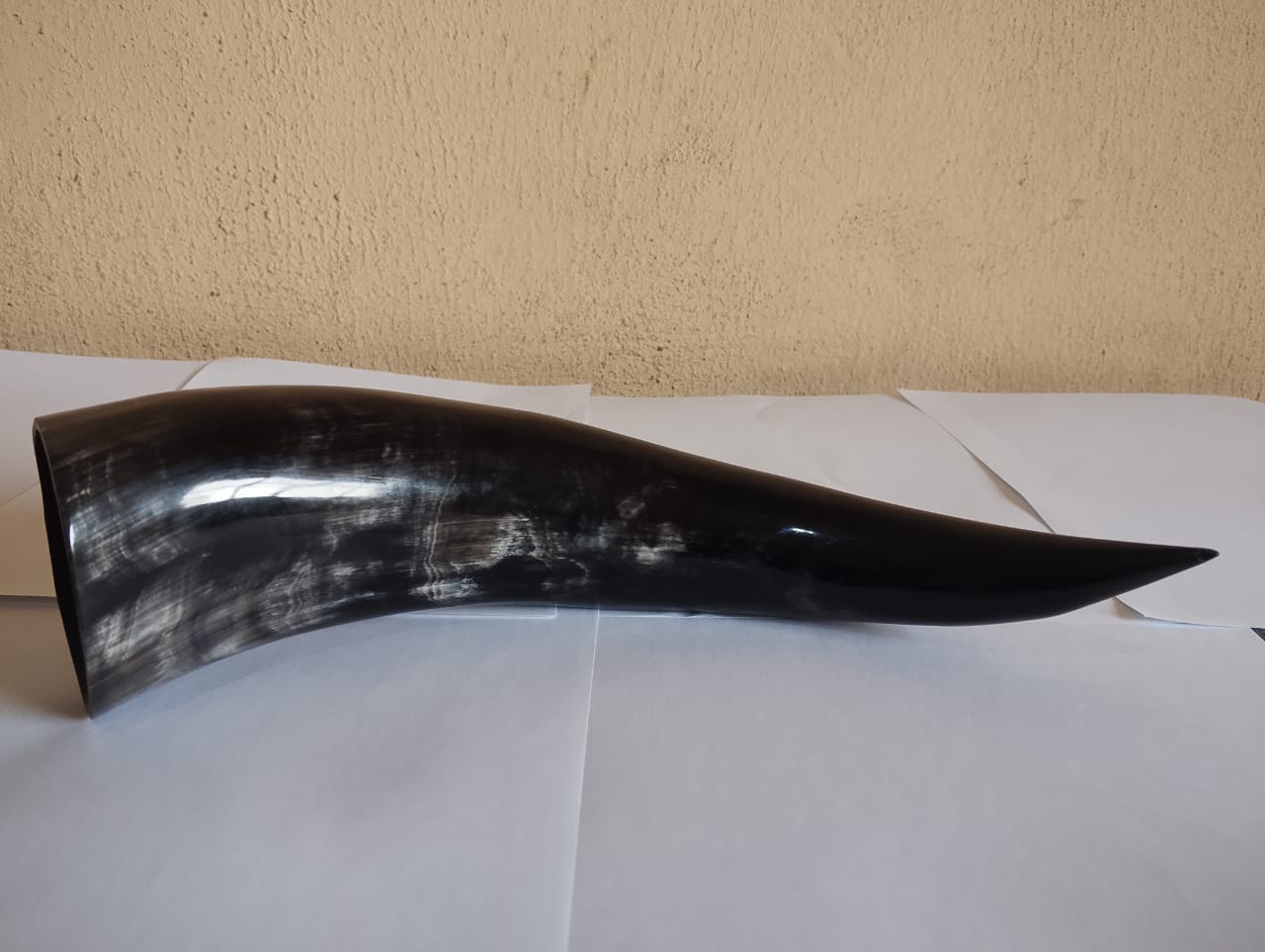 Black Cow Horns